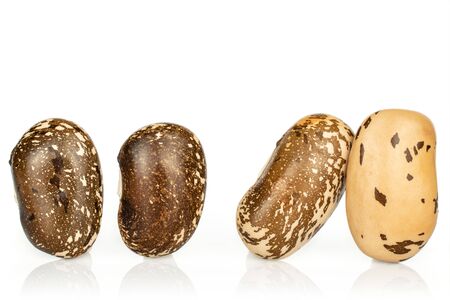 Group of four whole speckled brown bean pinto isolated on white backgroundの写真素材