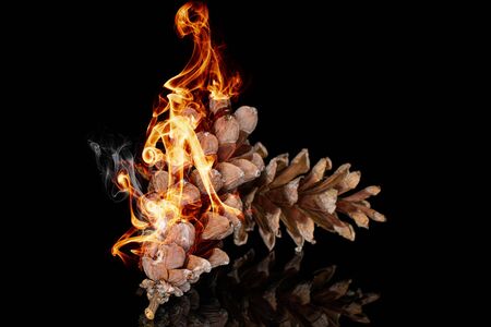 Two forest brown pine cone burning fire isolated on black glass