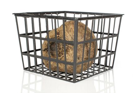 One whole raw sweet beetroot in black plastic basket isolated on white background