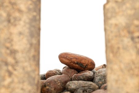 Lot of whole fresh brown cocoa bean back focus with cocoa butter isolated on white background
