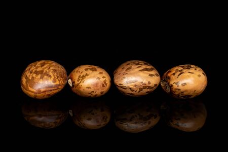Group of four whole mottled brown bean pinto line isolated on black glassの写真素材
