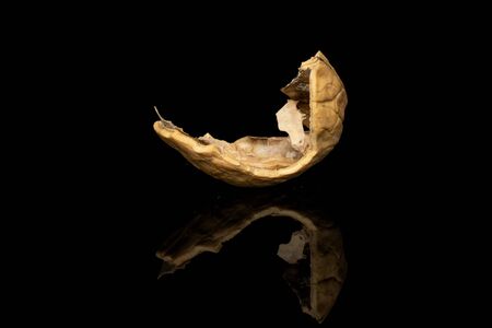 One piece of tasty brown walnut isolated on black glass