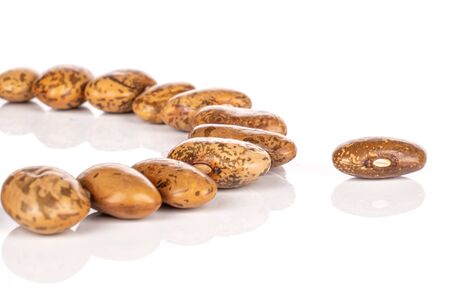 Lot of whole mottled brown bean pinto one separated isolated on white background