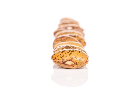 Lot of whole mottled brown bean pinto isolated on white background