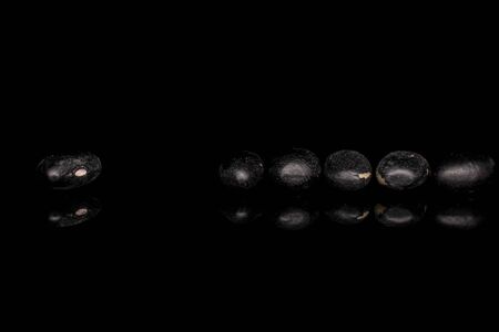 Group of six whole black bean isolated on black glassの写真素材