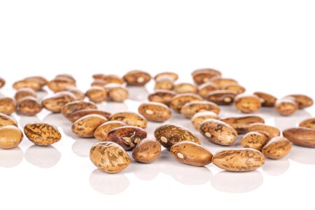 Lot of whole light mottled brown bean pinto isolated on white background
