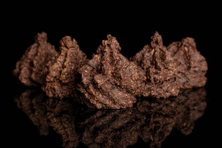 Group of five whole homemade brown coconut cocoa biscuit isolated on black glassの写真素材