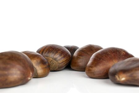 Group of seven whole edible brown chestnut isolated on white backgroundの写真素材