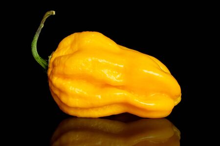One whole yellow hot chili pepper isolated on black glass