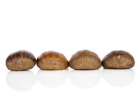 Group of four whole edible brown chestnut isolated on white backgroundの写真素材