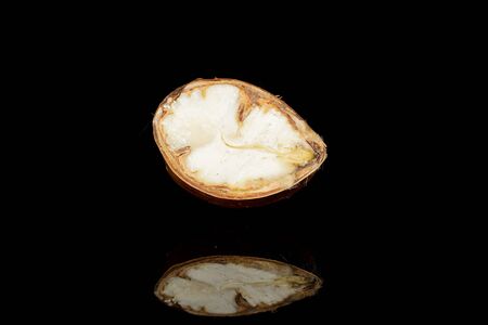 One half of edible brown chestnut isolated on black glass