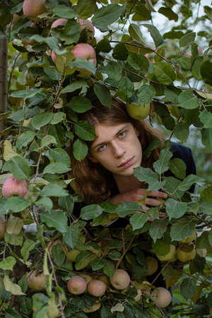 White young european man with long hair near the tree with applesの写真素材
