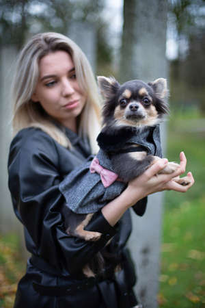Small dog in hands of blond european woman with blond hairの写真素材