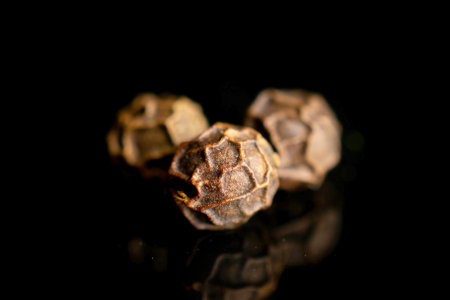 Group of three whole spicy black pepper isolated on black glassの写真素材