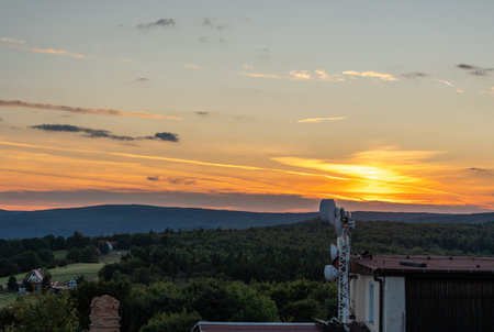Sunset over forest landscape