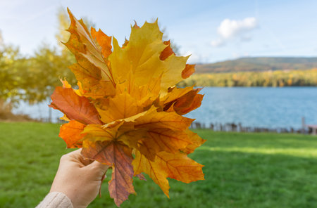Hand holding colorful autumn leaves bouquet against lake and mountain background. Fall season landscape with vibrant foliage and blue water.の写真素材