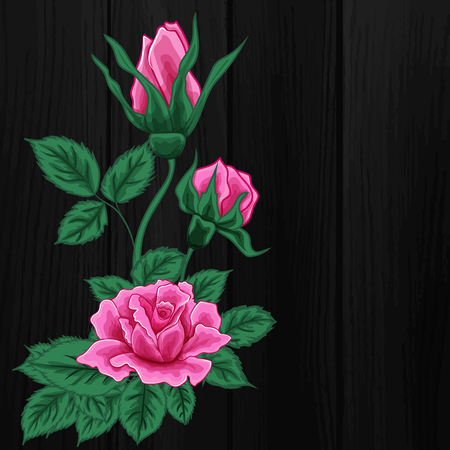 Pink roses. Fashion design. Vector floral print. Flowers Black backgroundのイラスト素材
