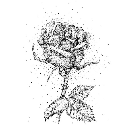 Flower rose isolate on white background. Hand drawn rose vector, sketch styleのイラスト素材