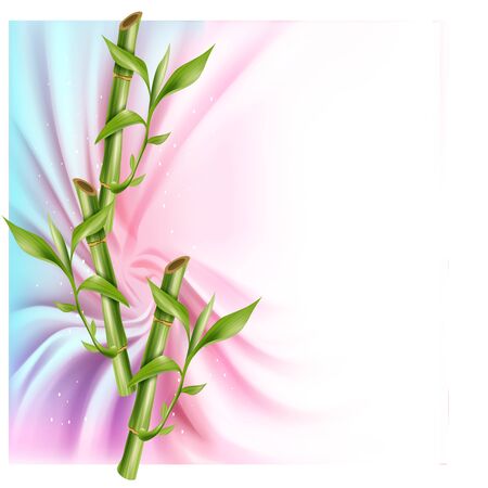 vector illustration of three bamboo stems. on silk drapery and free space for your text. template Banner or poster for spa salon.のイラスト素材