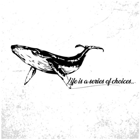 Silhouettes of sperm whale, cachalot, sea animals black and white vector illustration minimal style. Stylish modern backgroundのイラスト素材