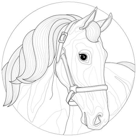 A beautiful horse.Coloring book antistress for children and adults. Zen-tangle style.Black and white drawingのイラスト素材
