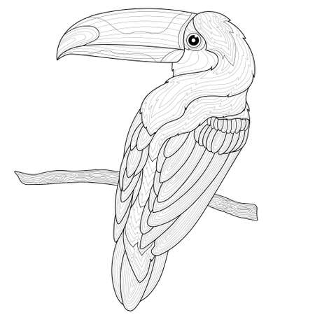 Toucan on a branch. Bird.Coloring book antistress for children and adults. Zen-tangle style.Black and white drawingのイラスト素材
