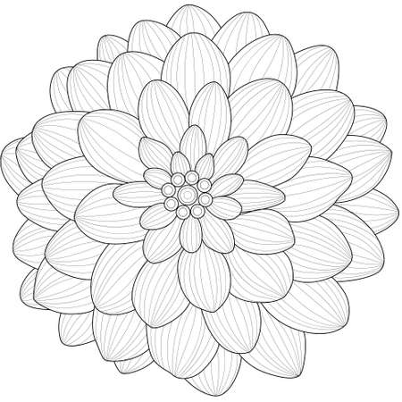 Dahlia flower.Coloring book anti stress for children and adults. Illustration isolated on white background.のイラスト素材