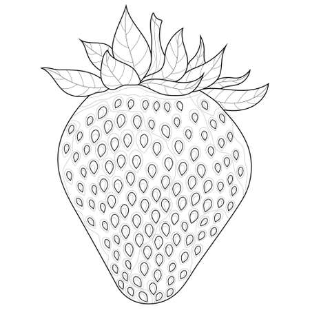 Strawberry. Berry.Coloring book antistress for children and adults. Zen-tangle style.Black and white drawingのイラスト素材