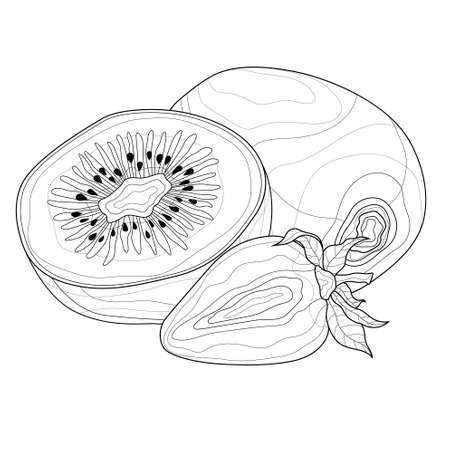 Kiwi and strawberry. Fruits.Coloring book anti stress for children and adults. Zen-tangle style.Black and white drawingのイラスト素材