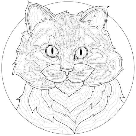 Cat. Pet.Coloring book antistress for children and adults. Illustration isolated on white background.Zen-tangle style.のイラスト素材