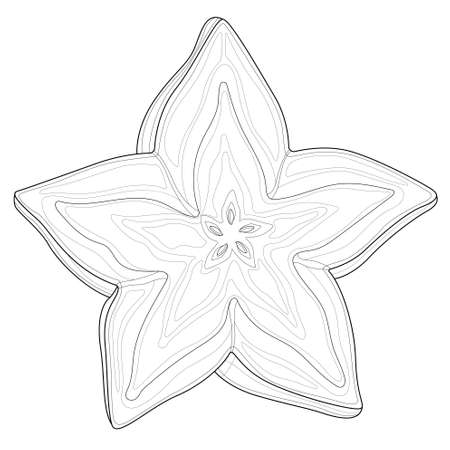 Carom fruit.Coloring book antistress for children and adults. Illustration isolated on white background.Black and white drawing.Zen-tangle style.のイラスト素材