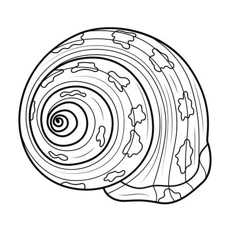 Sea shell.Coloring book antistress for children and adults. Illustration isolated on white background.Zen-tangle style. Black and white drawingのイラスト素材