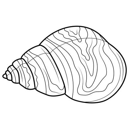 Sea shell.Coloring book antistress for children and adults. Illustration isolated on white background.Zen-tangle style. Black and white drawingのイラスト素材