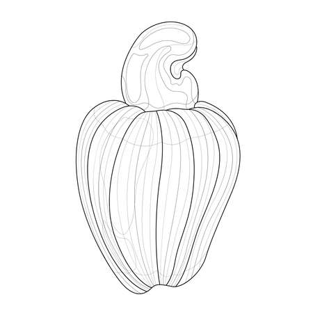 Cashew nuts.Coloring book antistress for children and adults. Illustration isolated on white background.Zen-tangle style.のイラスト素材