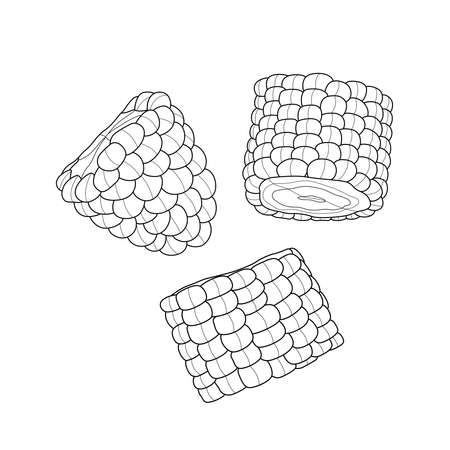 Corn slices.Coloring book antistress for children and adults. Zen-tangle style.Black and white drawing.Hand drawのイラスト素材