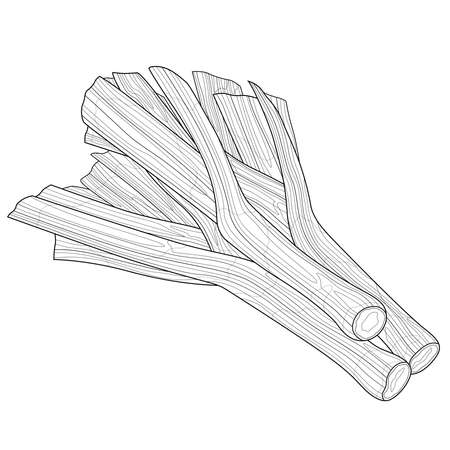 Leek. Vegetable.Coloring book for children and adults. Illustration isolated on white background.Black and white drawing.Hand drawのイラスト素材