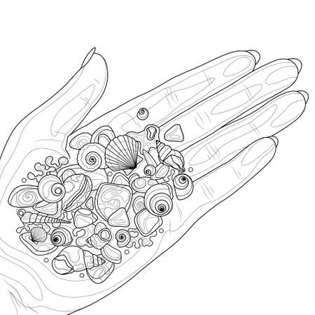 Shells and sea stones in hand.Coloring book antistress for children and adults.のイラスト素材