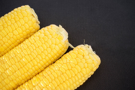 ripe corn cobs on a black background