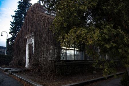 Old abandoned greenhouse in the autumn in cloudy weatherの写真素材