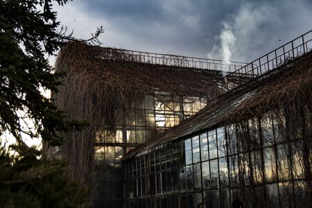 Old abandoned greenhouse in the autumn in cloudy weatherの写真素材