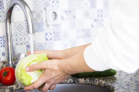 Tomatoes, cucumbers, cabbage in washing processの写真素材