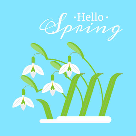 Vector flat illustration of spring flowers snowdrops on a blue background.のイラスト素材