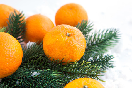 Fresh tangerine with  spruce branch on the snowの写真素材