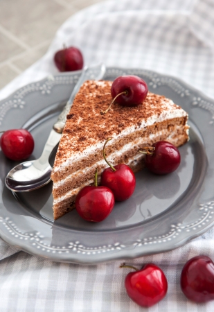 The piece of chocolate cake with cream decorated with fresh cherryの写真素材