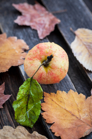 Wet fresh red apple on the fallen leaves on wooden tableの写真素材