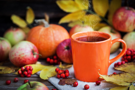 Orange mug on autumn background -fall leaves, apples, pumpkin and rowan-berryの写真素材