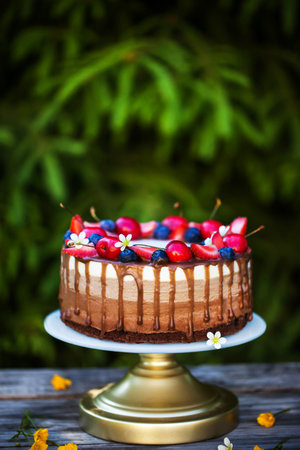 Delicious homemade Three chocolate mousse cake decorated with fresh berriesの写真素材
