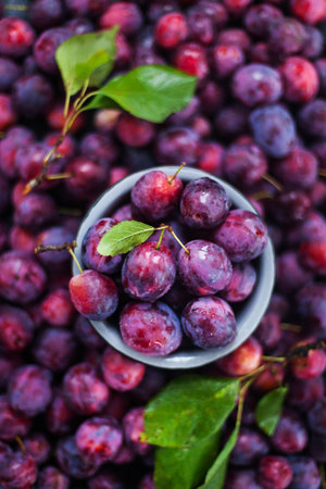 Fresh ripe autumn plums on dark background, top viewの写真素材