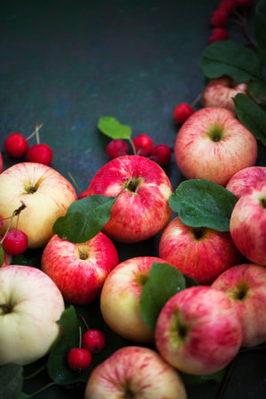 Fresh ripe colorful apples on green rustic backgroundの写真素材