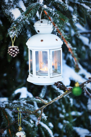 Christmas lantern with candle on branch of snowy winter tree, outdoorsの写真素材